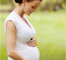 Маточина на матката преди раждането. Дроба на шийката преди раждането