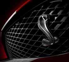 `Shelby Cobra`: характеристики, снимка