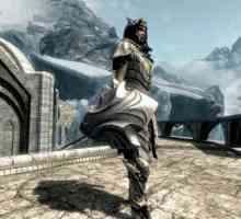 Shield Auriel в игрите от поредицата `The Elder Scrolls`