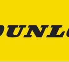 Гуми Dunlop Eco EC201: рецензии, описания, характеристики