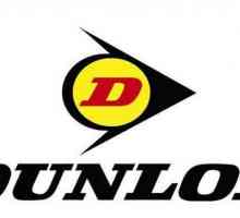 Dunlop Graspic DS3 гуми: описание, спецификации и ревюта