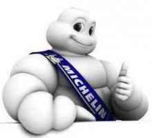 Гуми Michelin X-Ice 3: ревюта, цени. Отзиви за гумата "Michelin X-Ice Nord 3"
