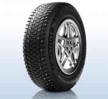 Michelin X Ice Nord 3 гуми: отзиви