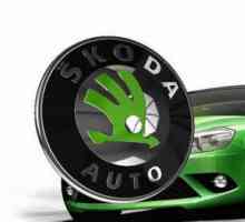 `Skoda Fabia`: просвет, технически характеристики, тест шофиране и снимки
