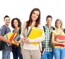 Skillset English School: отзиви и описание