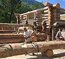 Шлайфане на трупи и други дейности за грижа за дървена къща
