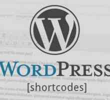 Скриптове за WordPress: примери за използване