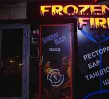 Шоу-бар `Frozen Faer` в Самара: описание, местоположение, снимка