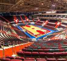 "Sibur Arena" на остров Крестовски: спортове в Санкт Петербург