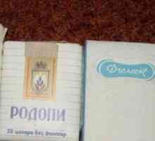 Цигари български в СССР: снимка, име