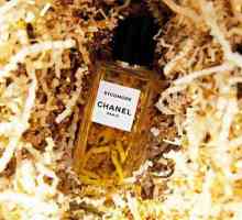 `Sikomore Chanel`: описание, обзор
