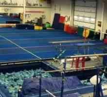 Силна гимнастика: описание, набор от упражнения и препоръки