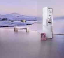`Siemens `, хладилници: прегледи на най-добрите модели