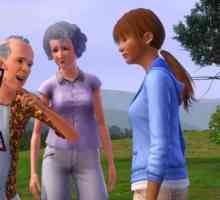 "Sims-3": системни изисквания. Компютърна игра The Sims 3