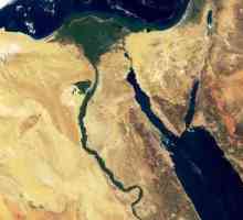 Синай пустиня: описание, област, интересни факти