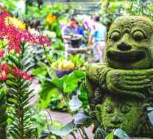 Сингапурска ботаническа градина: история, снимка, как да стигнете дотам?