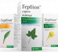 Сироп "Gerbion" от влажна кашлица: инструкции за употреба, състав и прегледи