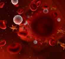 Системата АБО и наследствеността на кръвната група при хората