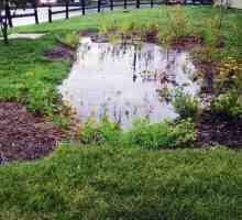 Канализационна система за дъждовна вода: Описание и условия за ползване