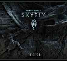 "Skyrim: Храмът на небесното пристанище". Запознаване, съвети и трикове