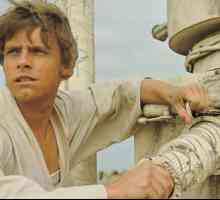 Skywalker Luke ("Star Wars"): историята на героя. Кой изигра Люк Скайуокър в…