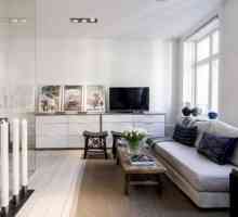 Скандинавски стил в апартамента: дизайн, комбинации и интересни идеи