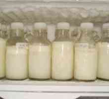 Колко мляко може да се съхранява в хладилника и как да го направите