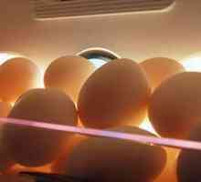 Колко яйца се съхраняват в хладилника?