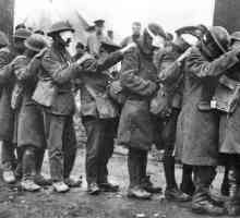 Колко хора са умрели през Първата световна война? Мобилизация, загуби, сили на противниците