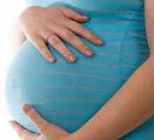 Колко седмици забременява една жена? Даваме отговора