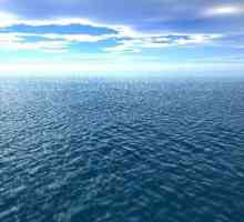 Колко океана на Земята: спорове за точния брой