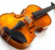 Колко струни има цигулка и как работи инструментът?
