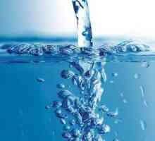 Колко вода трябва да пие човек всеки ден? Ролята на водата в живота ни