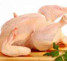 Колко да готвя пилешки барабан? Съвети за приготвяне на ястия от пилешки бутчета