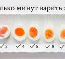 Колко яйца да готвя в чанта след кипене? Съвети за готвене