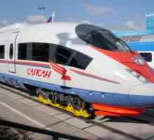 Скоростта на влака "Peregrine Falcon" е сравнима с бързия полет на сокола