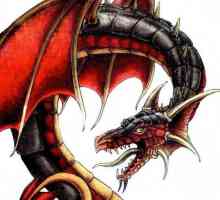 Scorpion-Dragon: характер и съдба