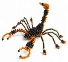 Скорпион от мъниста: скица, схема на тъкане. Уроци за топчета за начинаещи