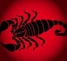 Скорпион-плъх: жена като представител на тази зодиакална комбинация