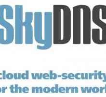 SkyDNS: Как да деактивираме? Филтър за интернет