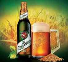 Словашка бира "Златен Бантан", нейната история и характеристики