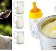 Смеси на козе мляко: ревюта, цена и състав. Какви са предимствата на смесите от козе мляко?