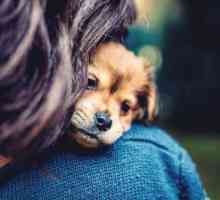 Кучетата показват повече емоции, когато им обръщаме внимание