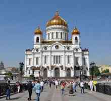 Катедралата на епископите на Руската православна църква: Участници, снимка