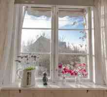 Композиция на тема "Изгледът от прозореца през зимата": принципи на писане и текстов стил
