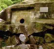 Национален парк Сочи: история и модерност