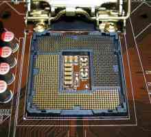 Socket 1156: външен вид, процесори и технически спецификации