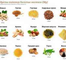 Съдържание на магнезий в храната: таблица. Предимствата на магнезий