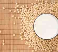 Соево мляко: ползи, вреда, състав и характеристики