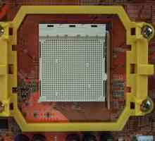 "Socket AM2" от компанията AMD: модели на процесори, множество системни логики и…